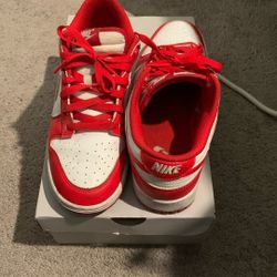 Nike Sb