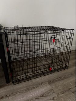 Kong xxl cage