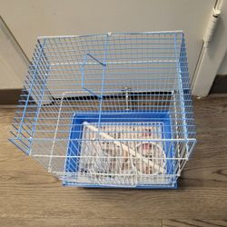 Adorable Small Blue Cage 