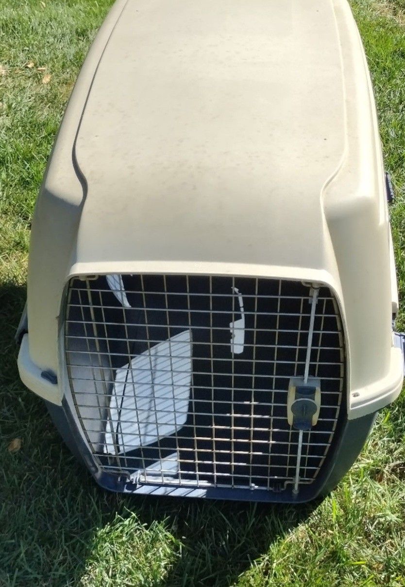 Dog Cage (Plastic)