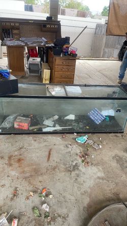 Fish tank