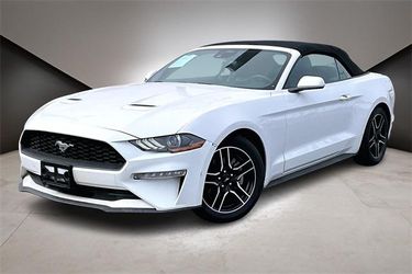2022 Ford Mustang