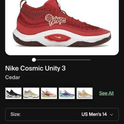 Nike Cosmic Unity 3 Cedar