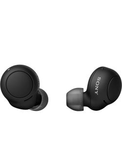 Sony WF-C500 Truly Wireless In-Ear Bluetooth Earbuds 