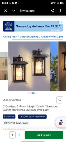 C Cattleya 2-Pack Outdoor Wall Lanterns Oil-Rubbed Bronze