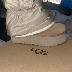 uggs