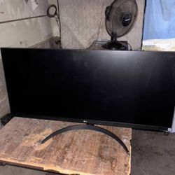 LG Monitor 