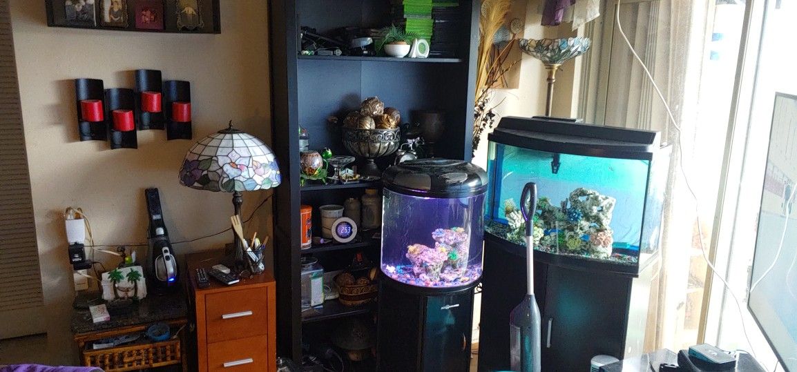 Beautiful bowfront Fish Tank With Stand,filter,airpump,Led Lights, Decoration,gravel . It's The Smaller One On The Picture