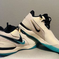 LeBron NXXT Gen AMPD     Men’s Size 11