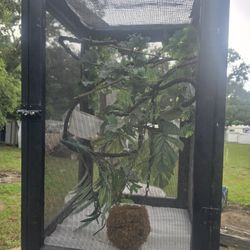 Cameleon Or Reptile Cage