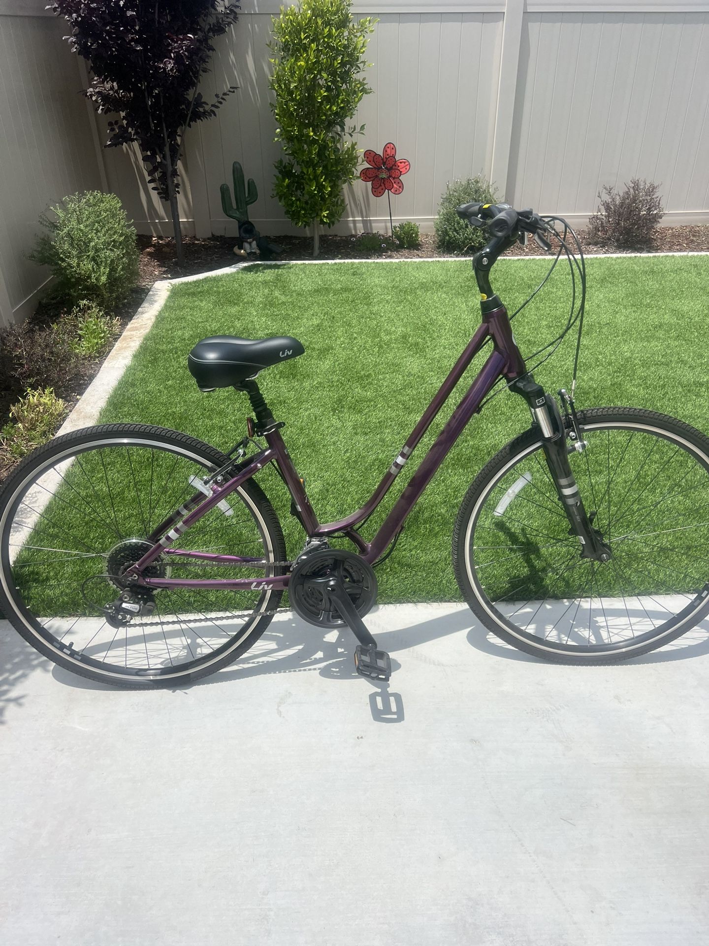 Giant Liv Flourish 1 Bike
