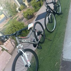 Mountain Bikes Set