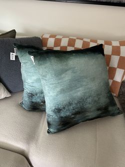 Decorative Pillows (2 qty)