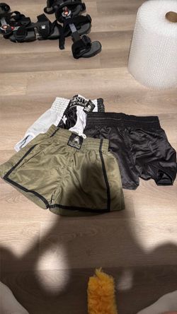 Fighting Shorts (L)