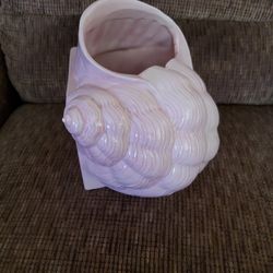 Ceramic Seashell Tissue Cover