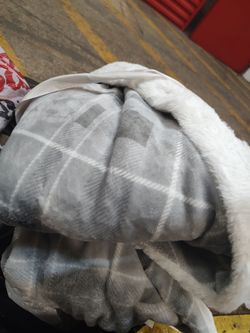 Cash Only - Faux Fur Blanket 50 x 60