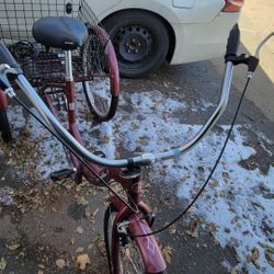 Schwinn Maridian Adult Tricycle Bike 