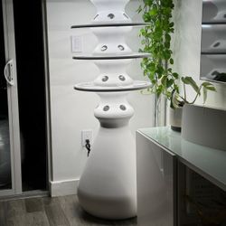 Indoor Farmstand Lettuce Grow