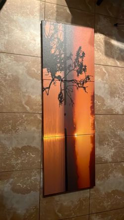 Florida Everglades Sunset 3-Part Vinyl Photo
