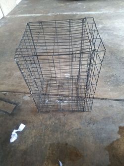 Cage