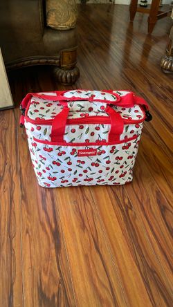 Neutrogena Insulated Bag Cooler, 17” by 12” by 7”,  10.00