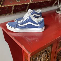 Vans Mens Skate Shoe