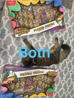 Pokémon Mega Evolution Ascended Heroes Focused Fighters Premium Collection (x2)