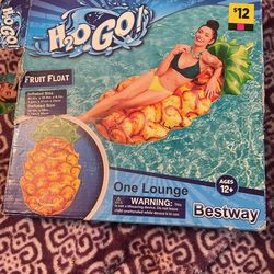 Fruit Float Pineapple NEW