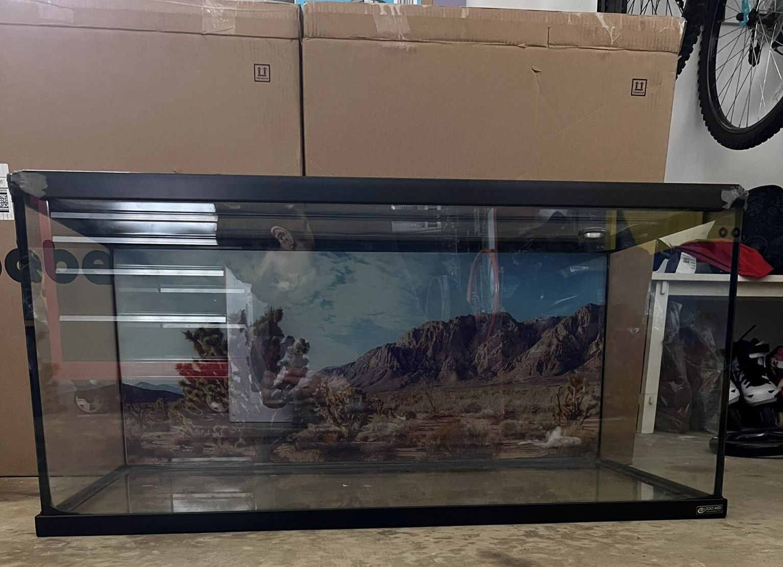 Fish Tank
