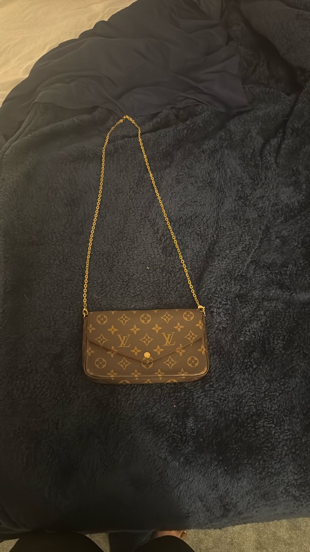Louis Vuitton Felicie Pochette Monogram