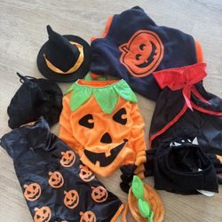 Pet Halloween Costumes