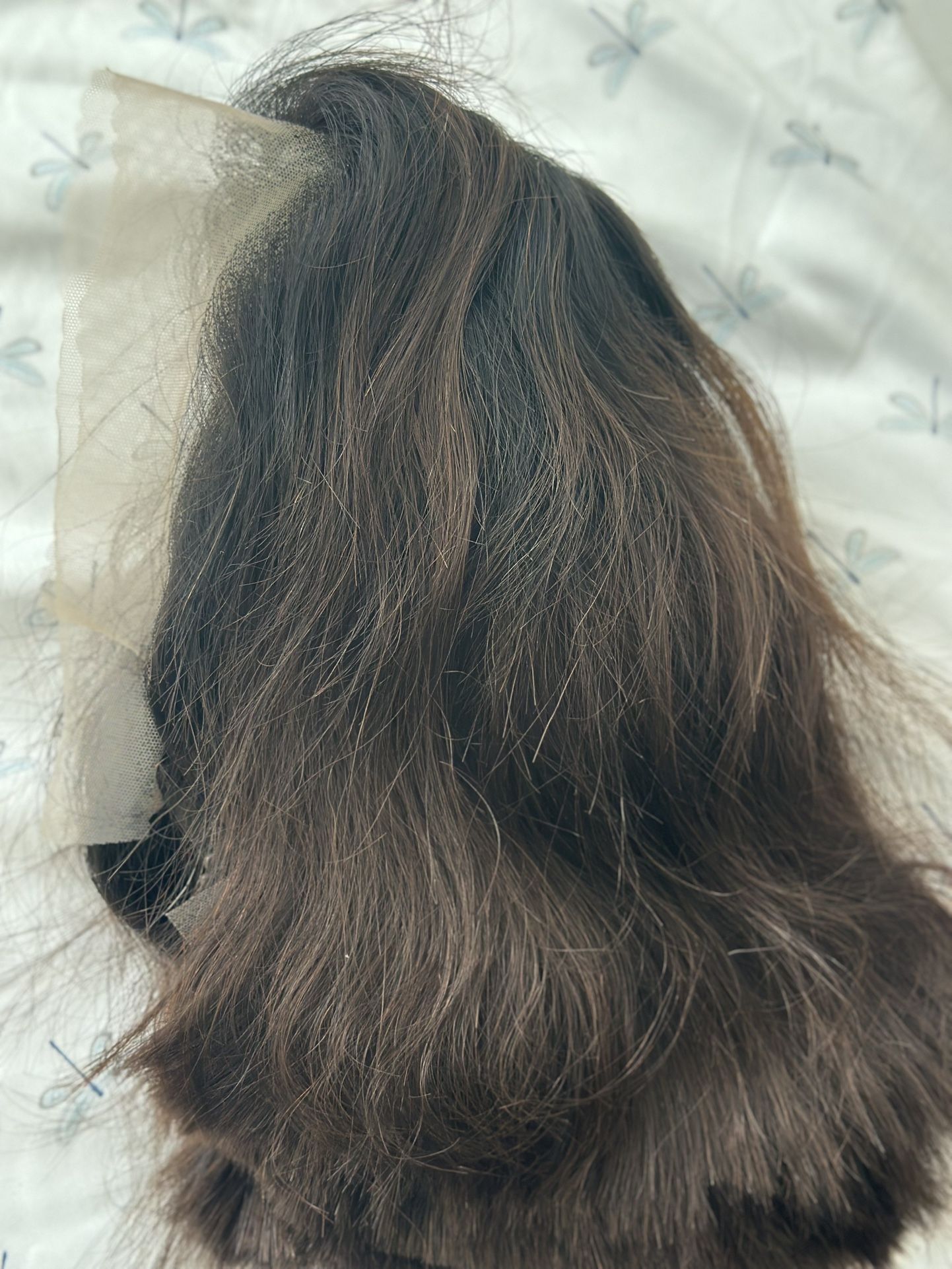 Human Hair 