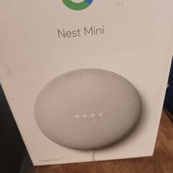 Google Mini Nest