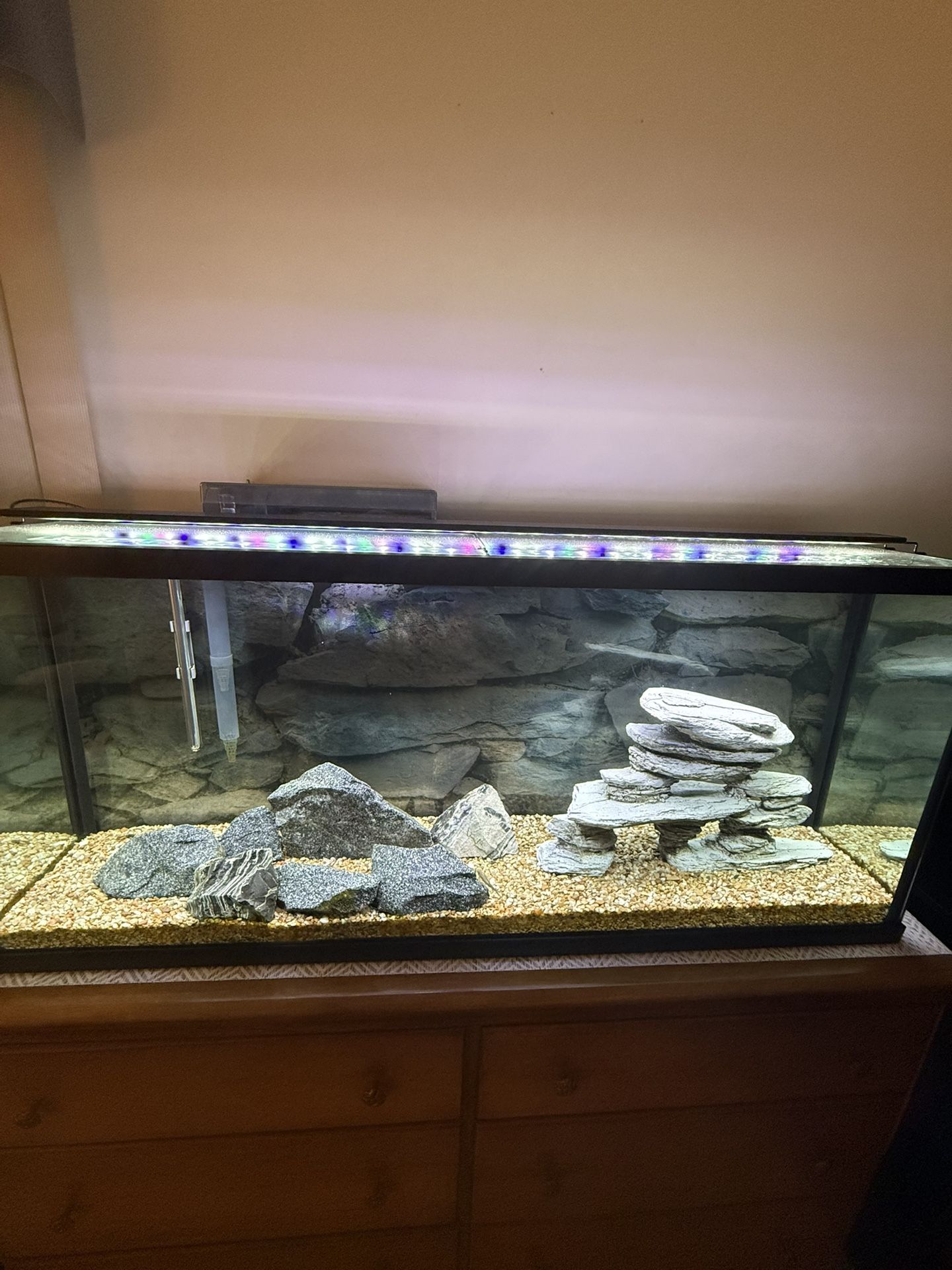 55 Gallon Fish Aquarium