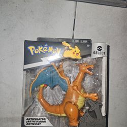 Charizard Collectable 