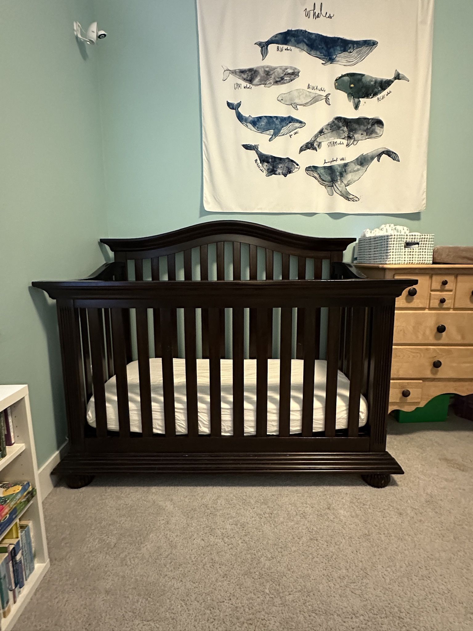 Crib (converts to toddler bed)