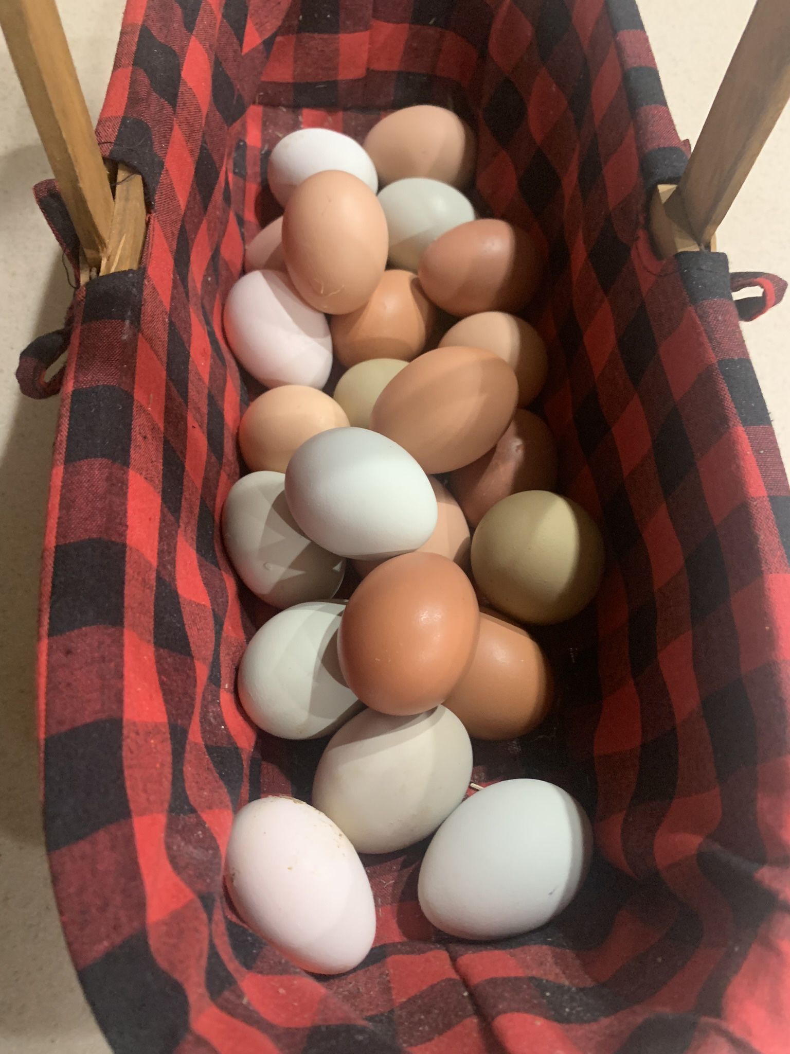 Eggs - Range free 