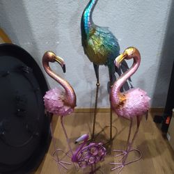Flamingo And Peacocks 