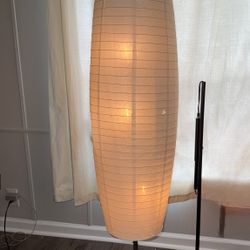 Modern Floor Lamp