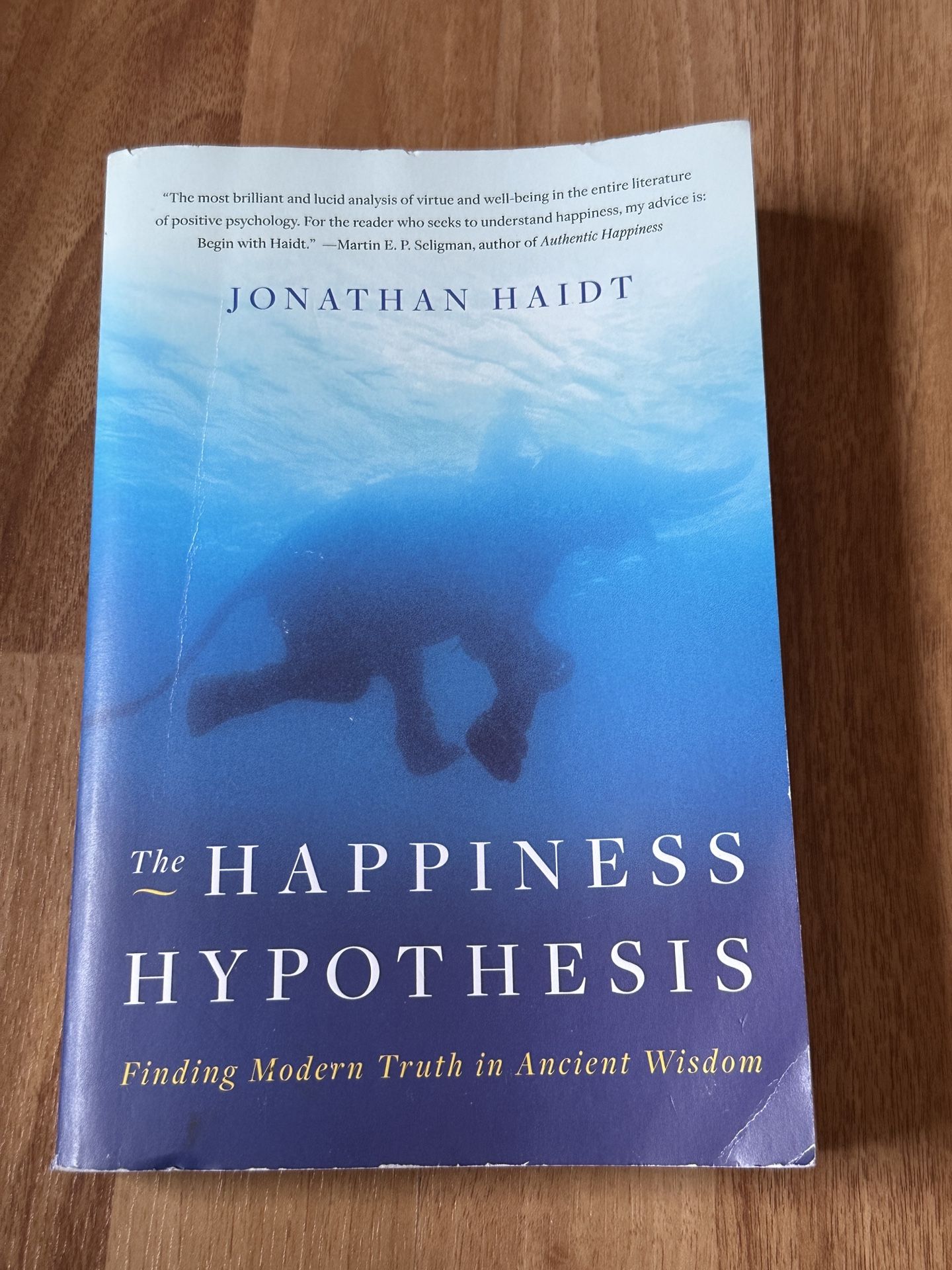 The Happiness Hypothesis: Finding Modern Truth in Ancient Wisdom – Haidt (Paperback) Book
