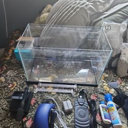 5 Gallon Tank Starter Pack ( Everything On The Picture Is Sold Together