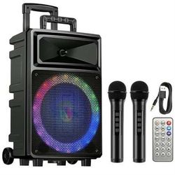 Party speaker with two karaoke mics