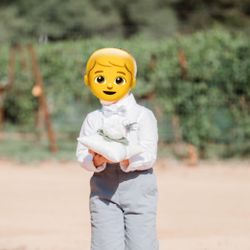 Ring Bearer Pillows (Eucalyptus and White Rose)