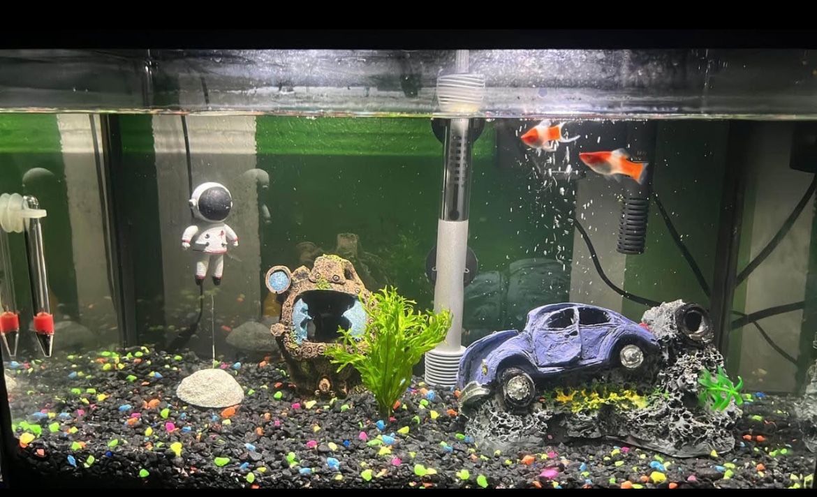 Fish Tank