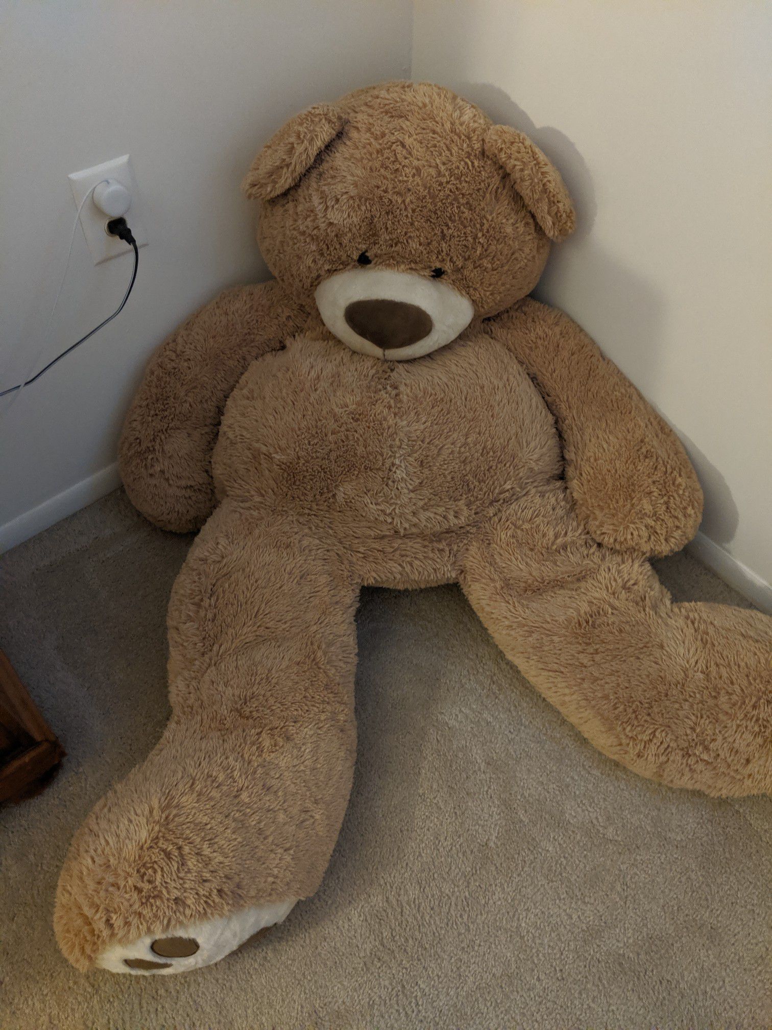 5ft huge gigantic teddy bear (FREE!)
