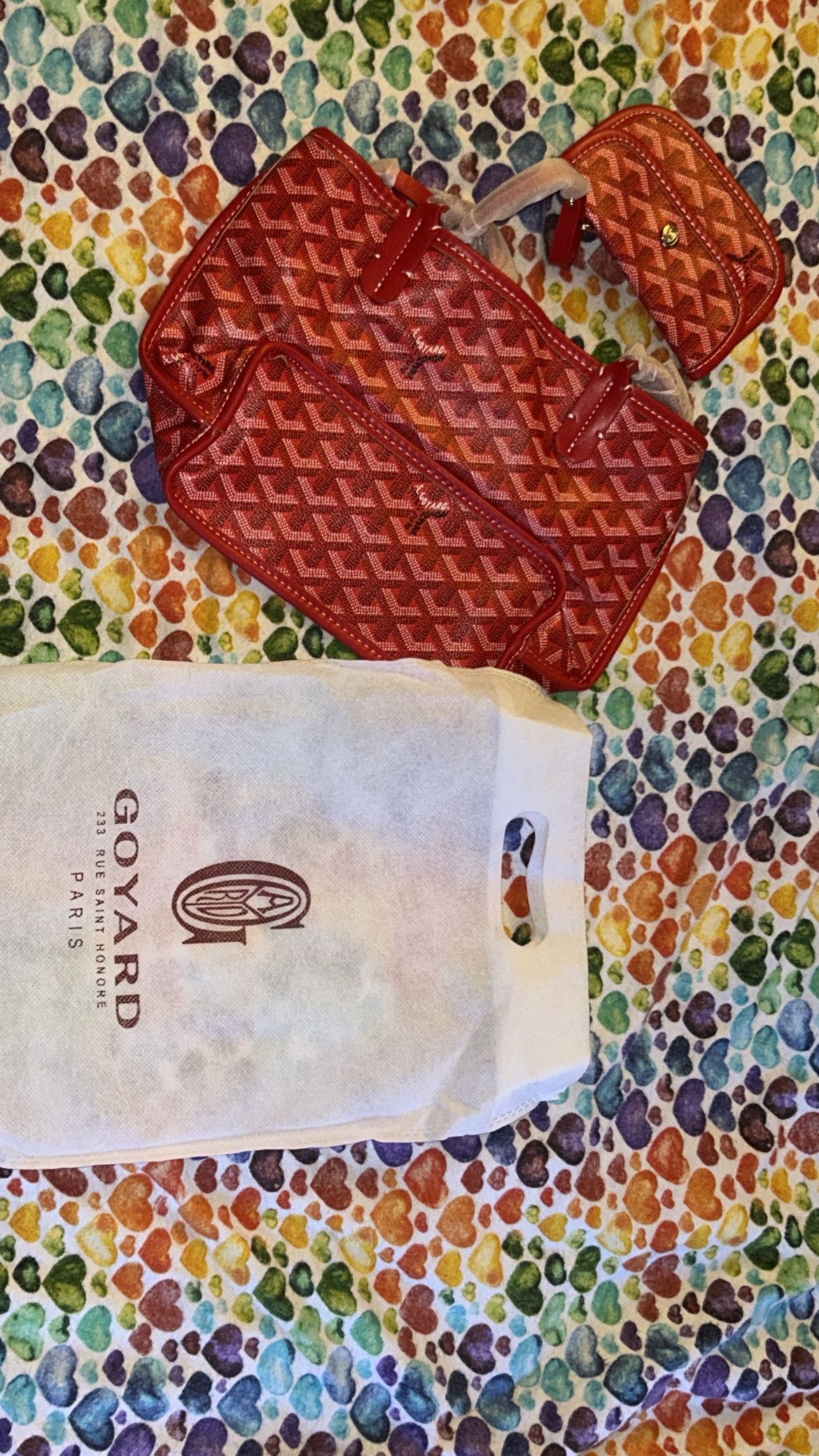 Goyard Bag
