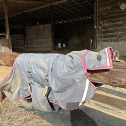 AMIGO Irish Made Horse Blanket 