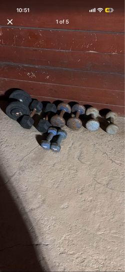 Gym equipment