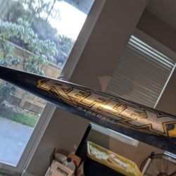 BESR Easton Baseball Bat