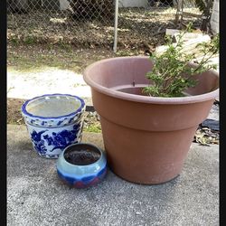 Plants and pots freeee